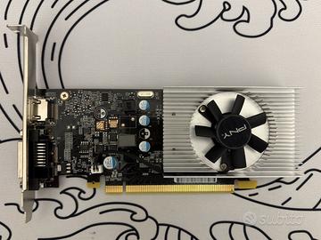 NVIDIA GeForce GT 1030 2GB DDR5 - Low Profile