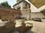 Immagine 14