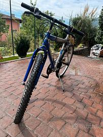 Bicicletta Rush Future 26”