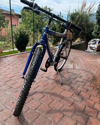 Bicicletta Rush Future 26”