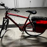 Bicicletta elettrica Doniselli