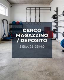Magazzino/deposito in Siena
