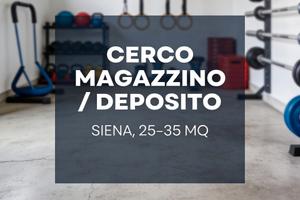 Magazzino/deposito in Siena