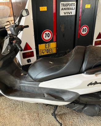 Scooter linahi mainstreet 300