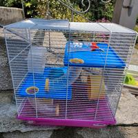 Attrezzature per criceto