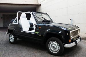 Renault 4 Frog