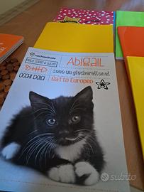 Quaderni righi/ quadretti. 