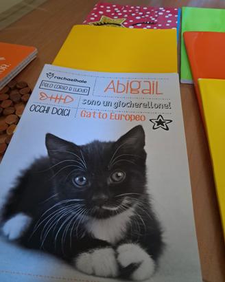 Quaderni righi/ quadretti. 