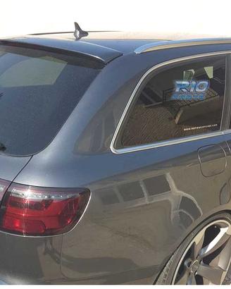 SPOILER ALETTONE PER AUDI A6 C6 4F AVANT 04-11 LOO