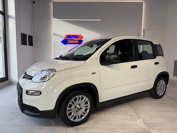Fiat Panda 1.0 FireFly S&S Hybrid Pandina