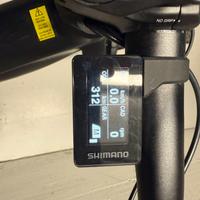 Bici E- Bike