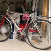 Bicicletta