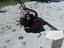 Immagine 2