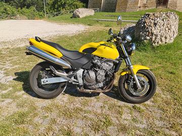 Honda Hornet 600 