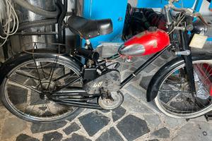 Bianchi aquilotto