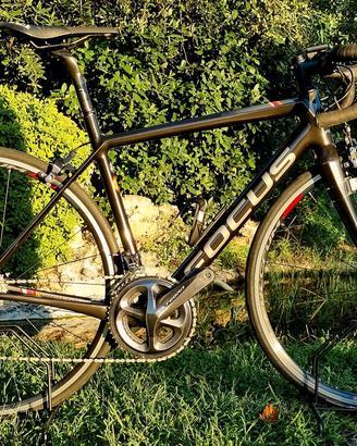 FOCUS IZALCO RACE ULTEGRA 11V Tg 51(s)