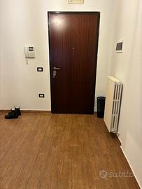 Appartamento 100 mq