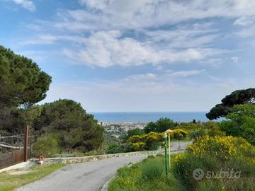 Terreno di 5000 m² a Savona