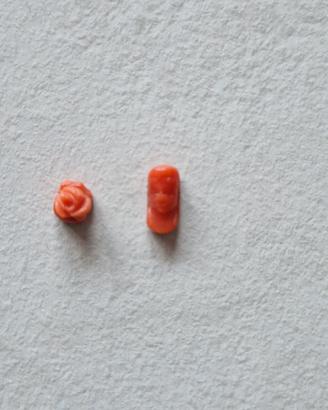 Piccoli coralli