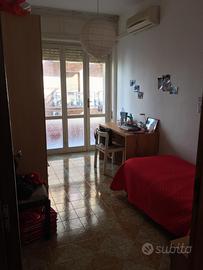 Stanza dingola via dalmazia libera da fine mese