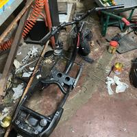 telaio zip fast rider