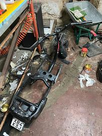 telaio zip fast rider