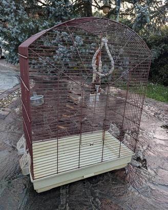 Gabbia pappagalli/uccelli