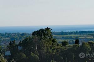 Uliveto Monteverde - Fossone Alto