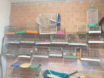 voliere x uccelli  e trasportini