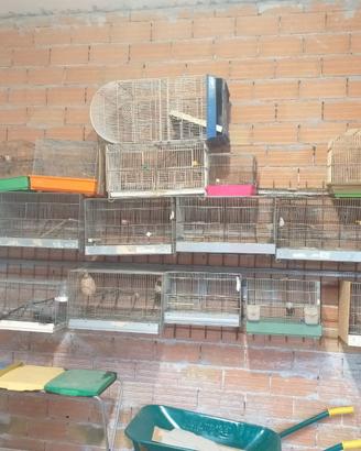 voliere x uccelli  e trasportini