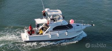 Cayman 30 sport fly