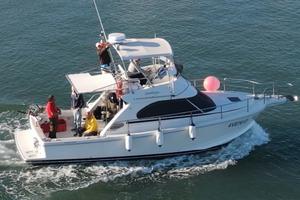 Cayman 30 sport fly