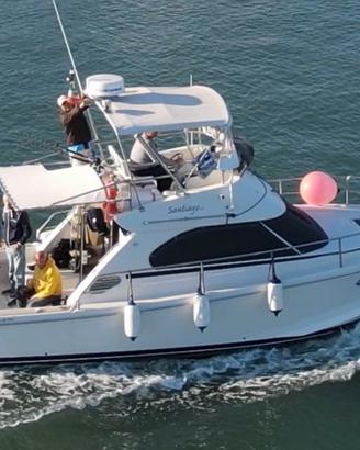 Cayman 30 sport fly