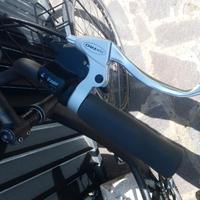 Bici da passeggio