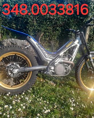 Trial sherco 300 ST evolution