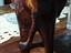 Immagine 4