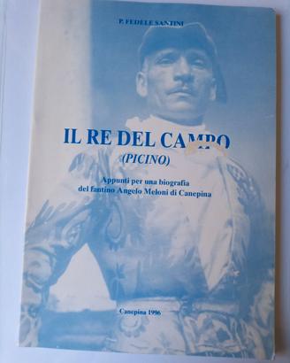 IL RE DEL CAMPO