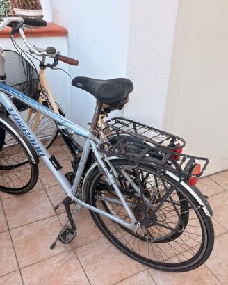 Coppia bici torpado