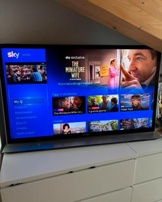 Televisore TV Sony 46 Pollici