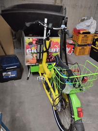 bicicletta elettrica 