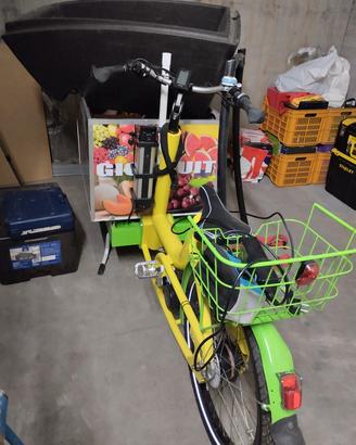 bicicletta elettrica 