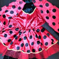 vestito carnevale Coccinella 1-2 anni