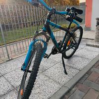 Bici 24pollici