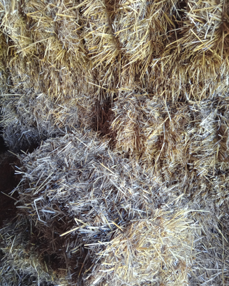 Fieno e Paglia in ballette