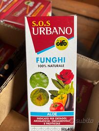 Aloe per giardinaggio