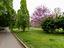 Immagine 24