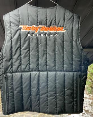 Smanicato Harley Davidson