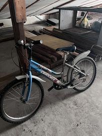 Bici bambino cerchi da 20
