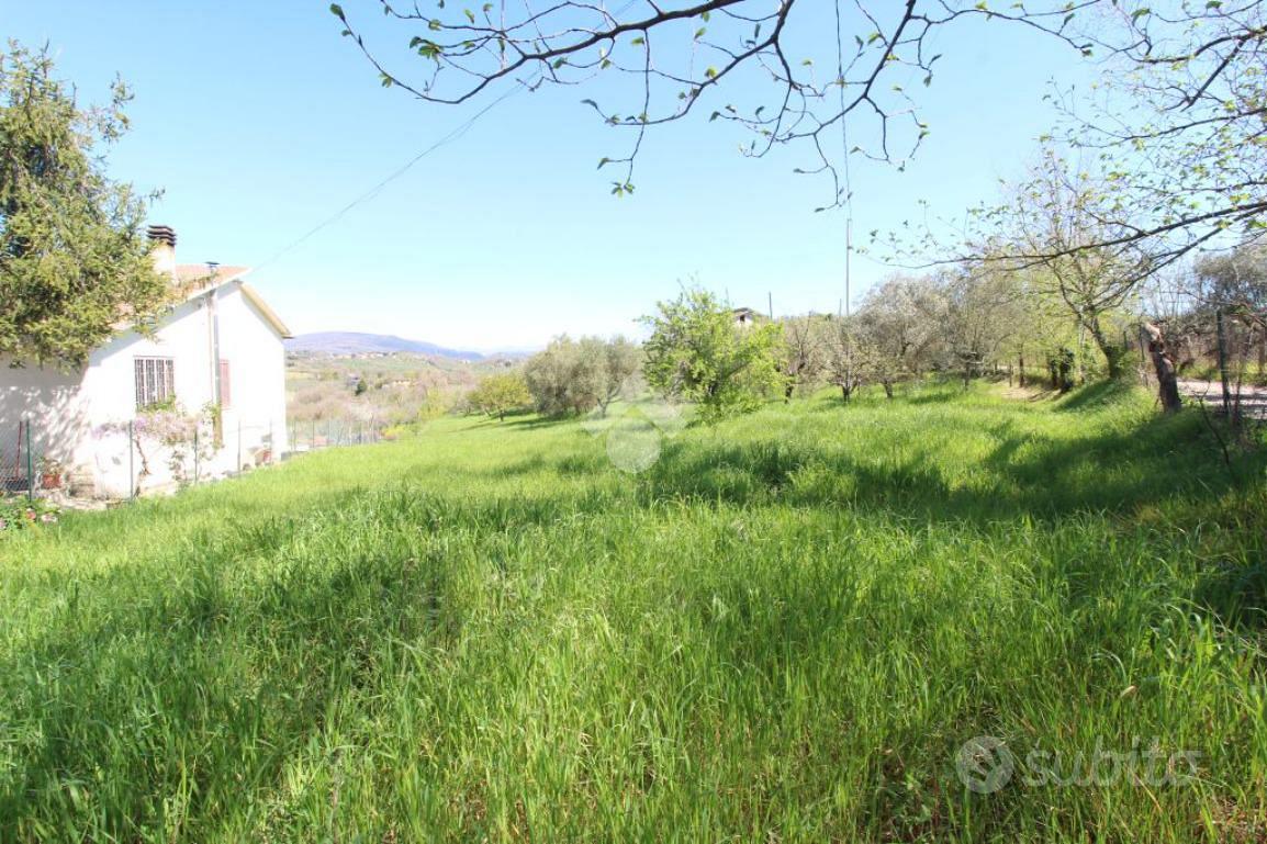 TER. RESIDENZIALE A POGGIO NATIVO - More