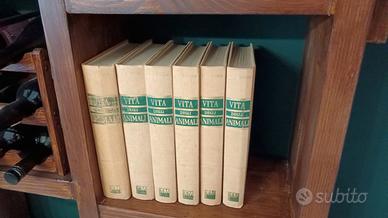 A.E. Brehm – Vita degli animali – Serie completa 